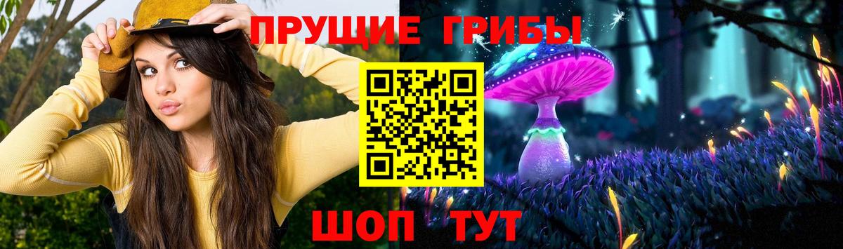 Галлюциногенные грибы GOLDEN TEACHER Елизово